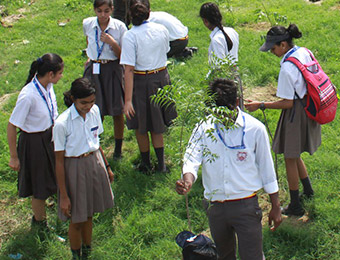 Seth Anandram Jaipuria School Gauriganj Amethi